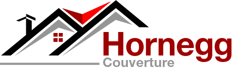 Hornegg couverture logo
